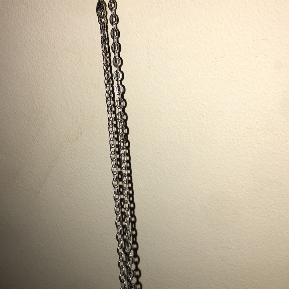 Silver Chain